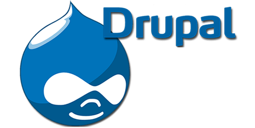 Drupal Hosting Best Practices: Speed and Security for Your Site