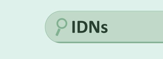 Exploring the World of Internationalized Domain Names (IDNs)